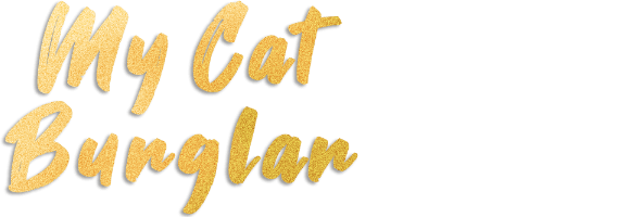my-cat-burglar