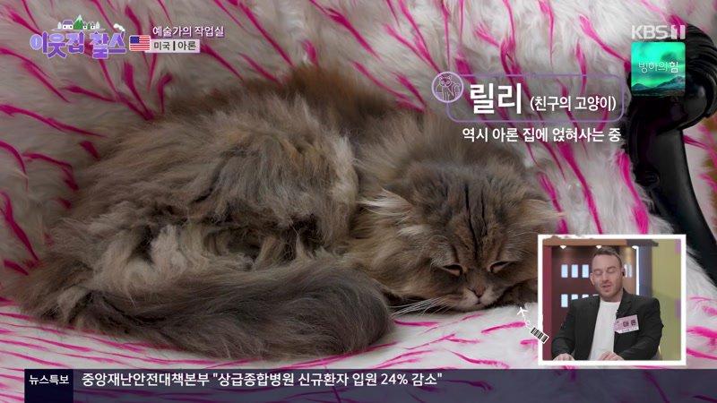 426회