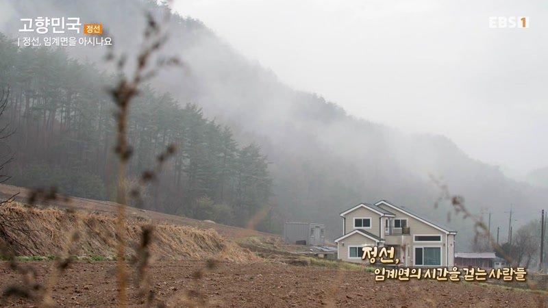13회
