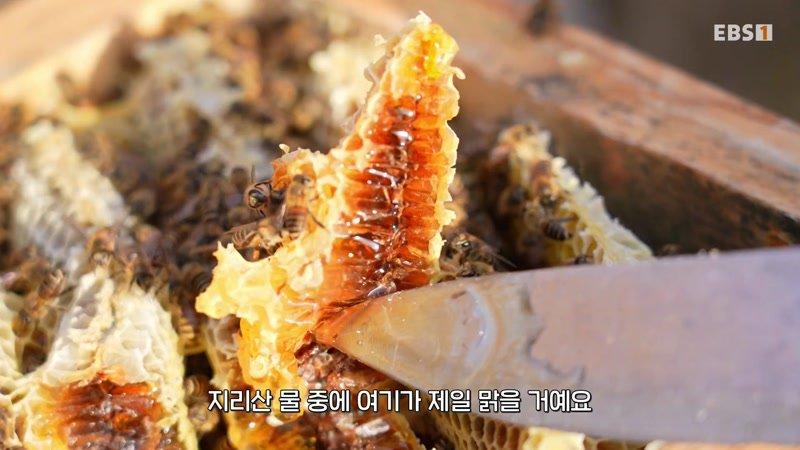 21회