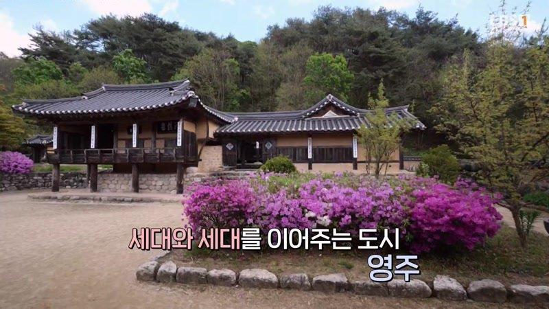 27회