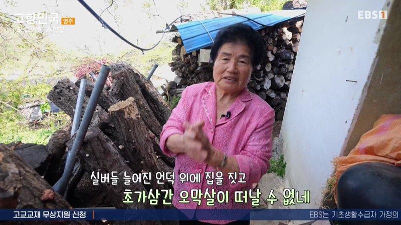 29회