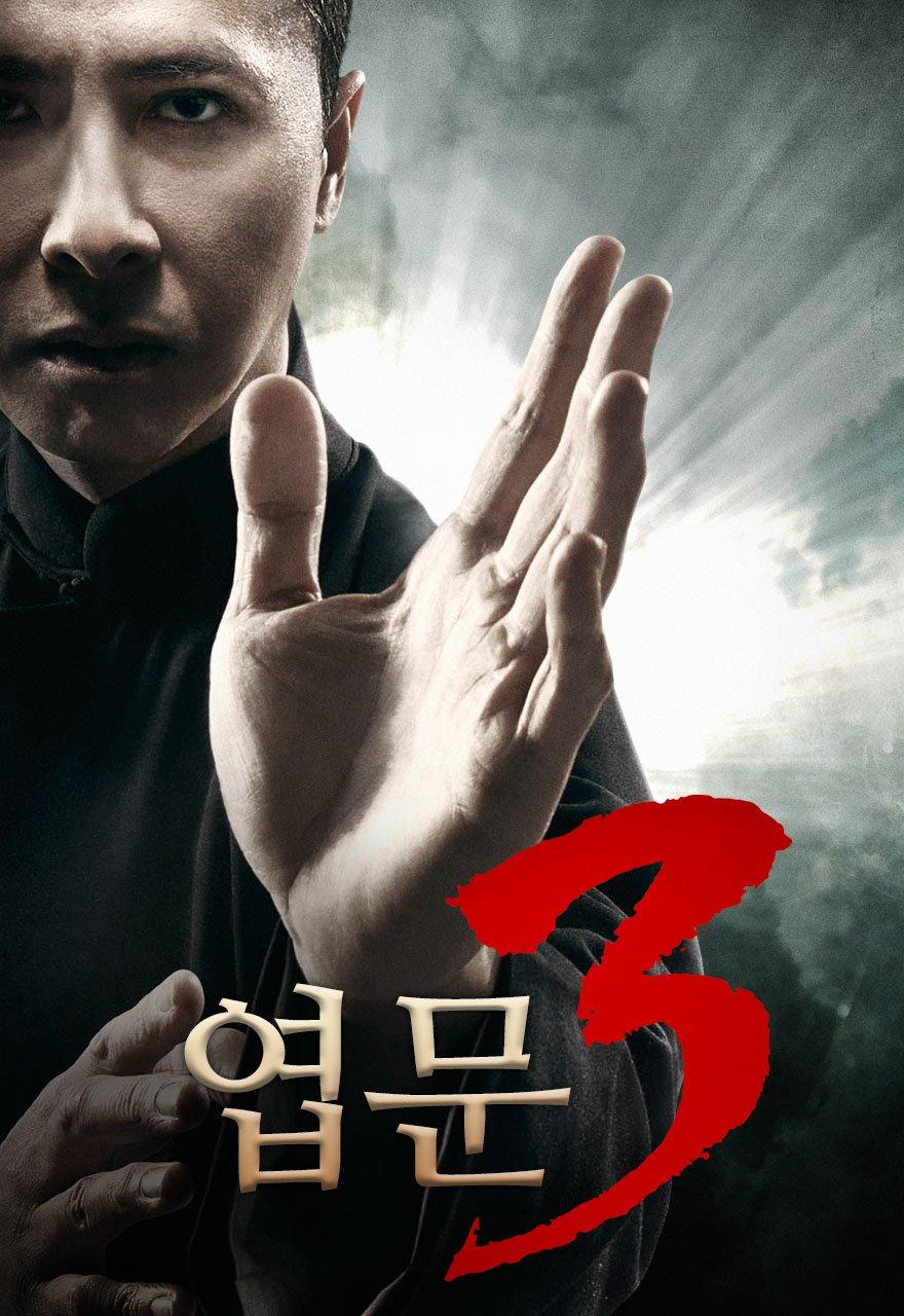 엽문 3