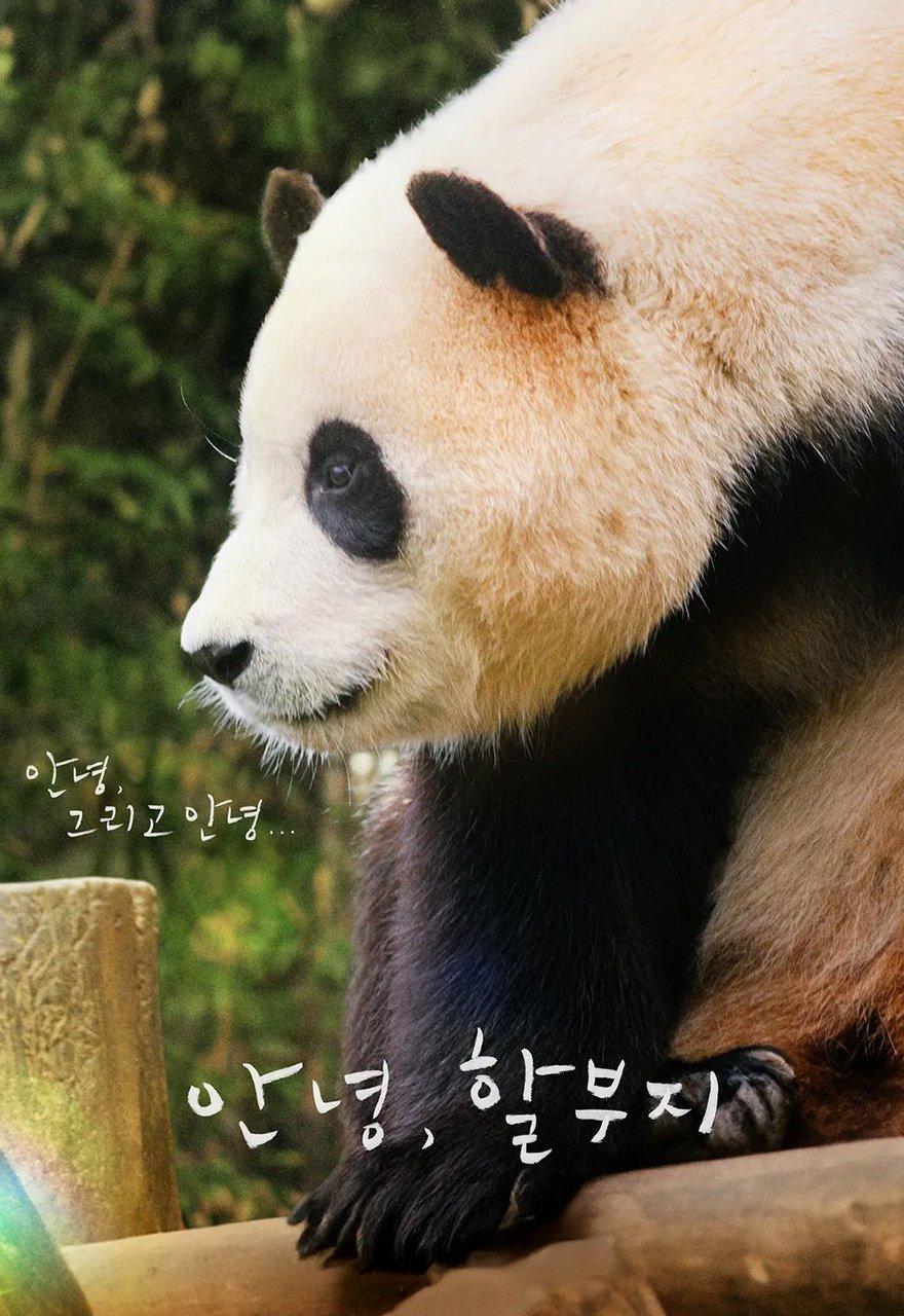 안녕, 할부지