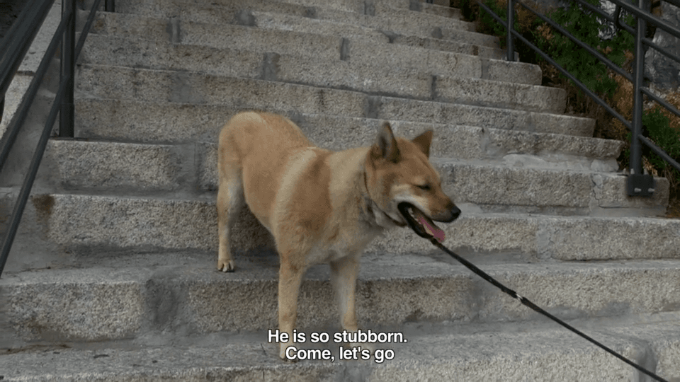 본편