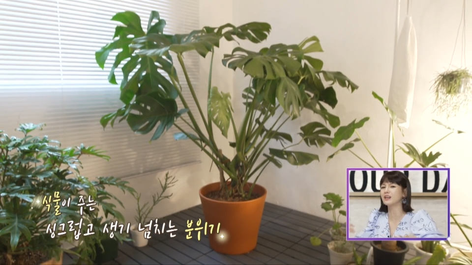 14회