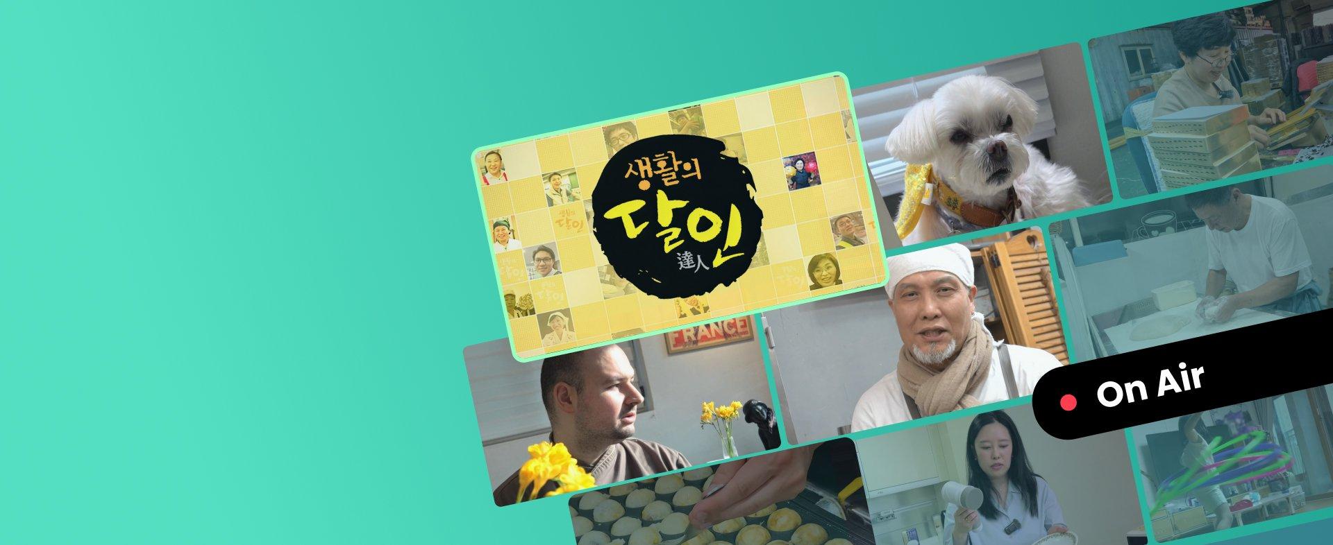 생활의 달인