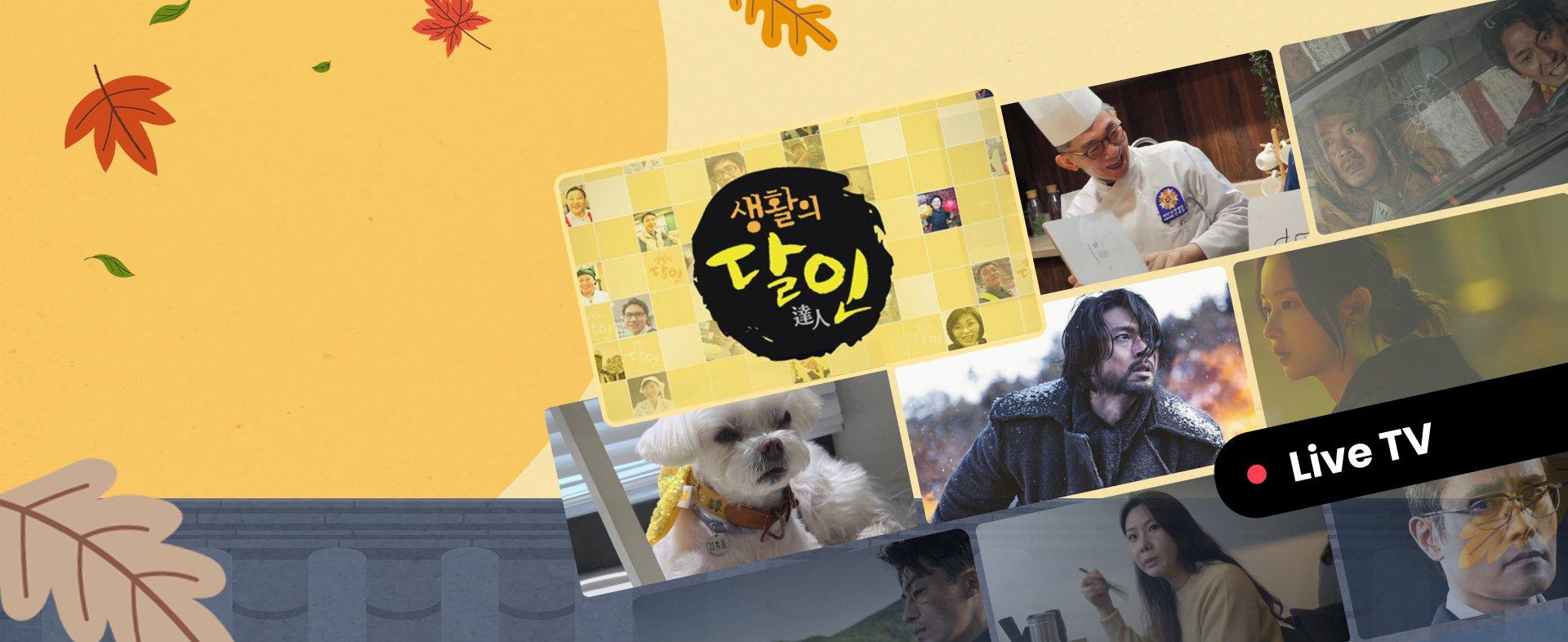 ODK픽 스페셜
