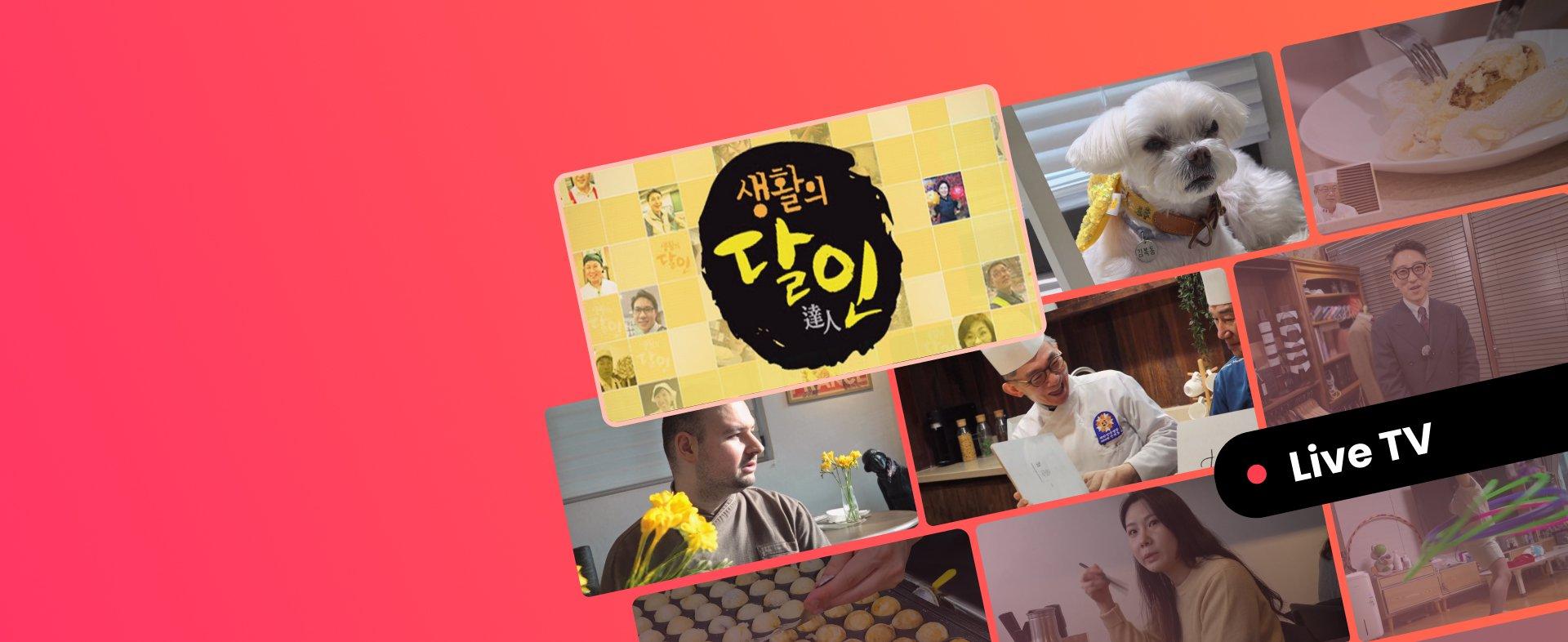 ODK픽 스페셜