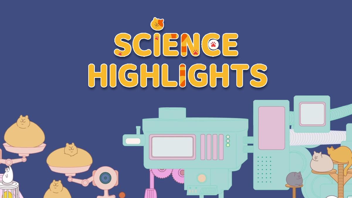 Watch Science Highlights Online | OnDemandKorea