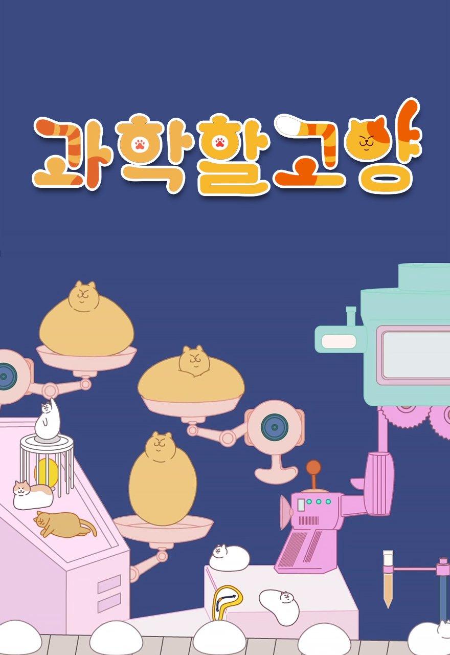 과학할고양