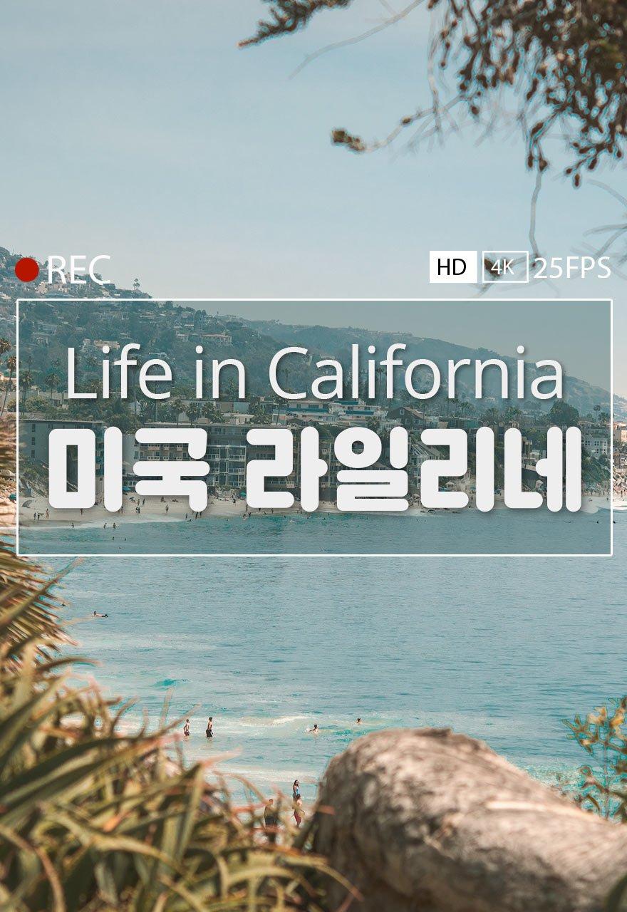 미국 라일리네