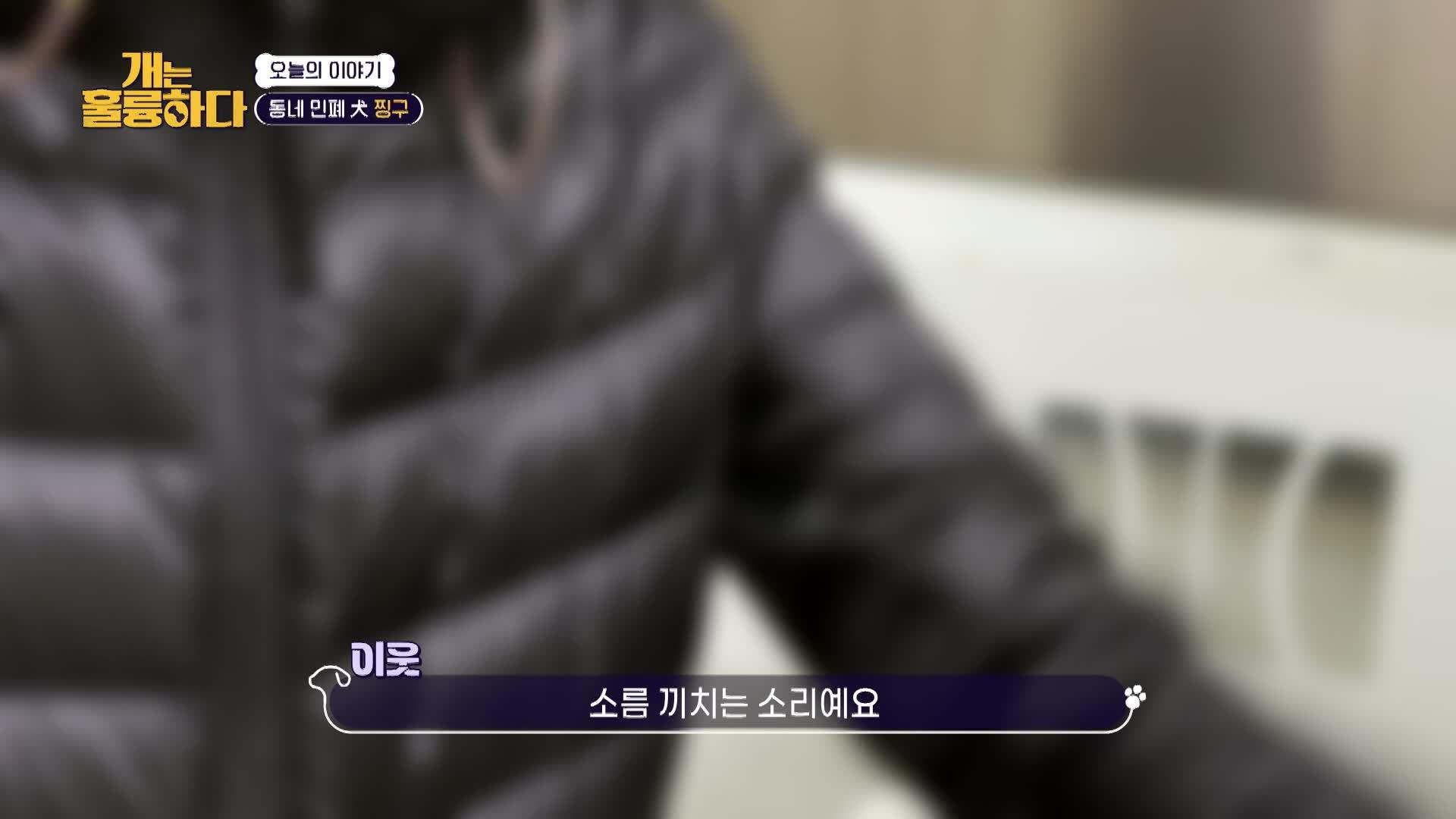 219회