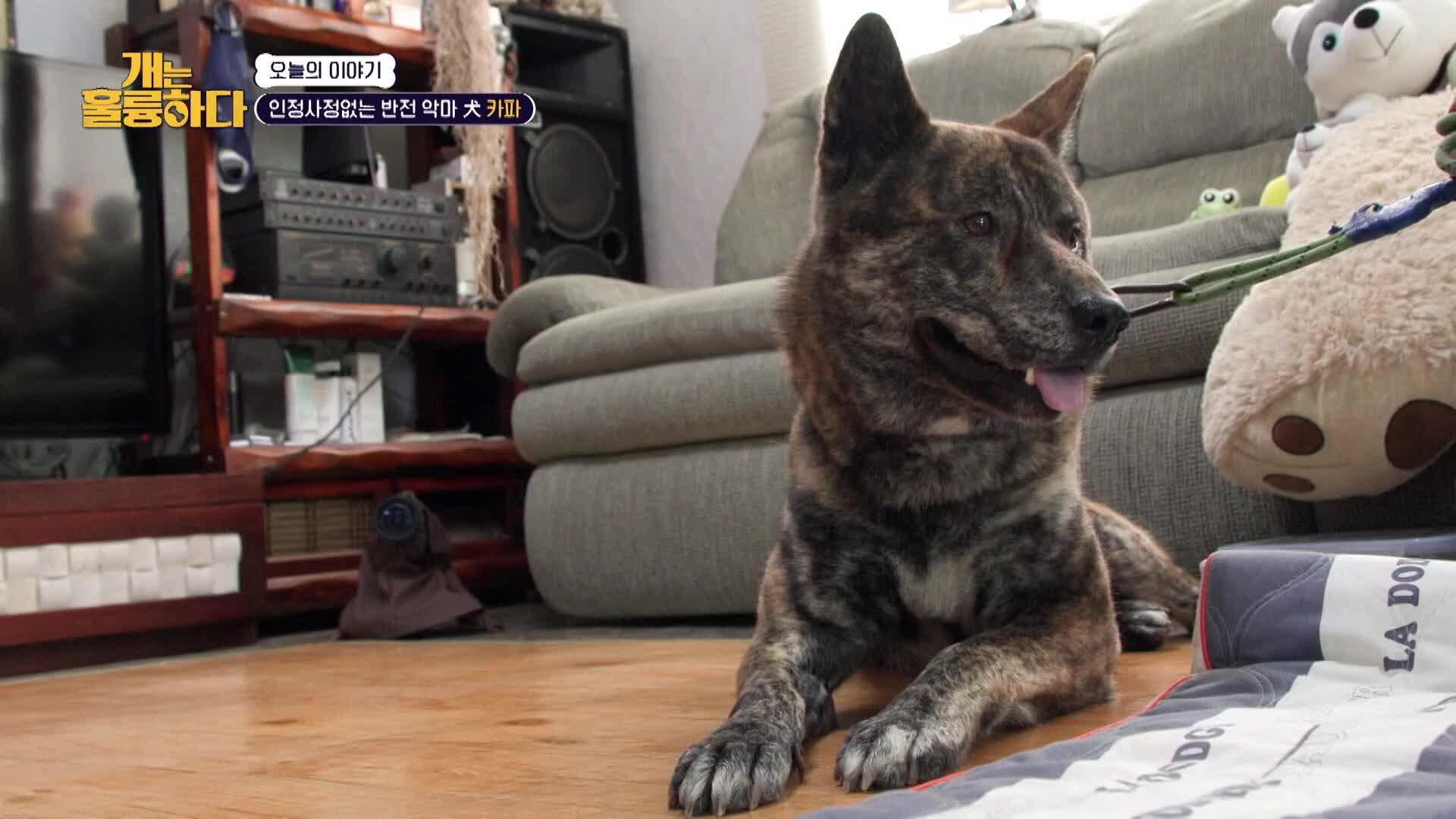 222회