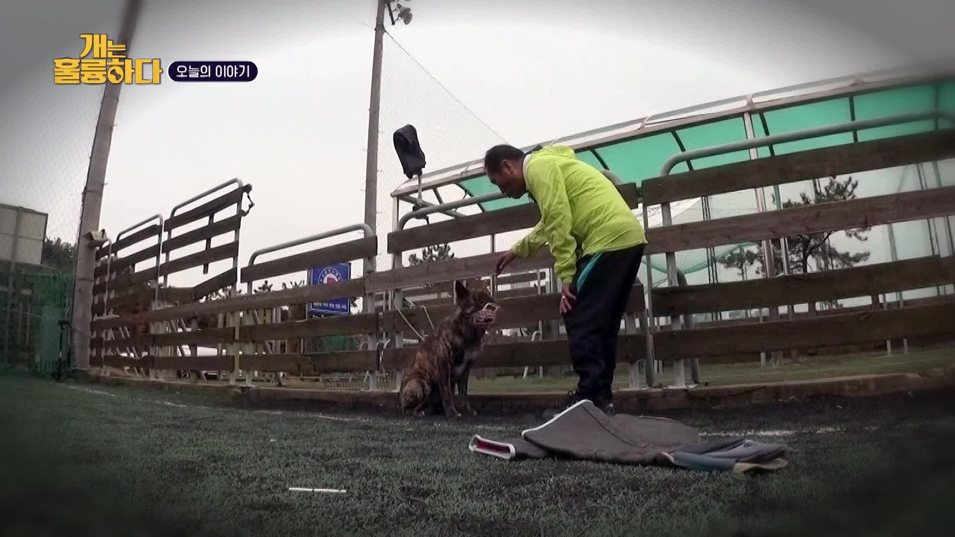 224회