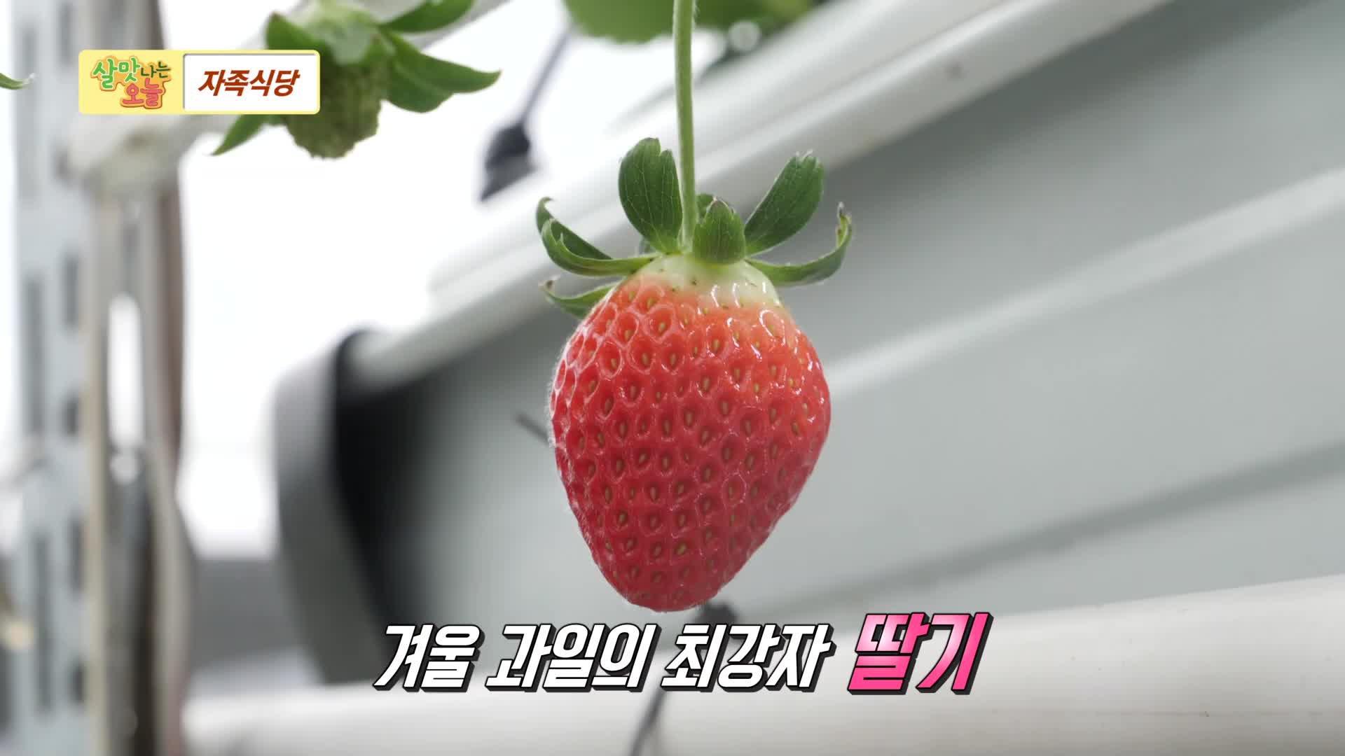 622회