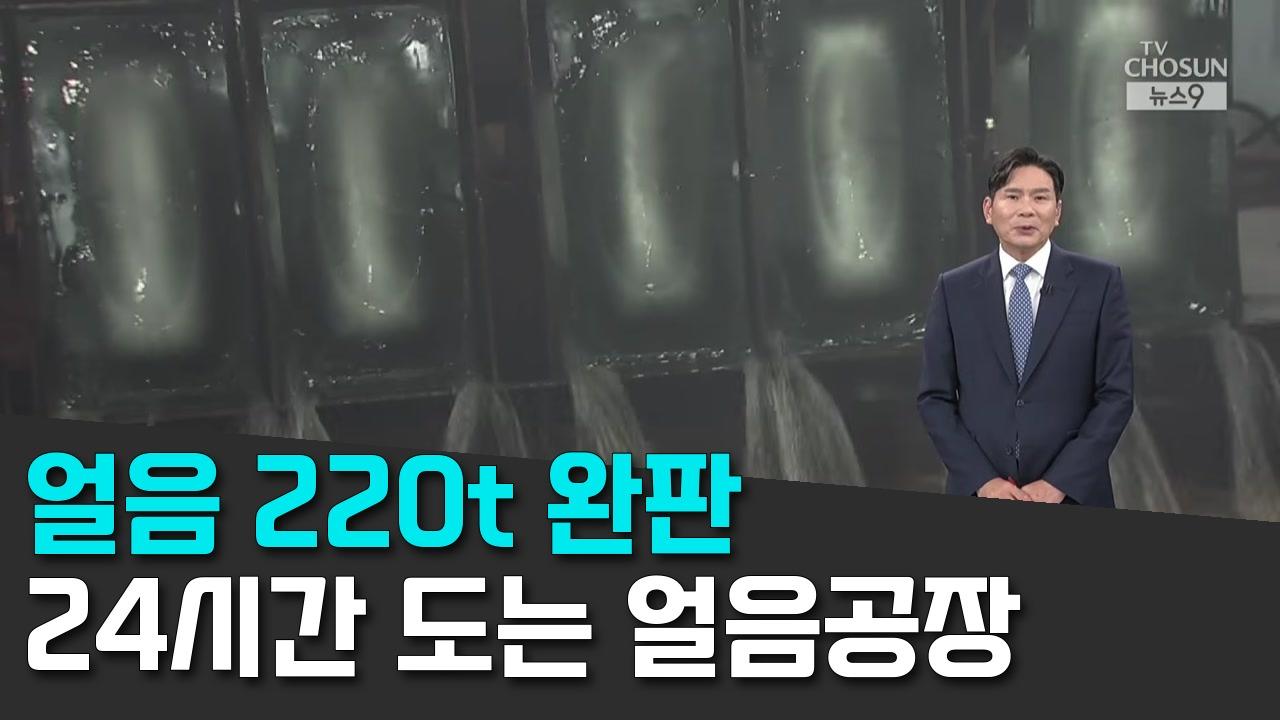 8/6 TV조선