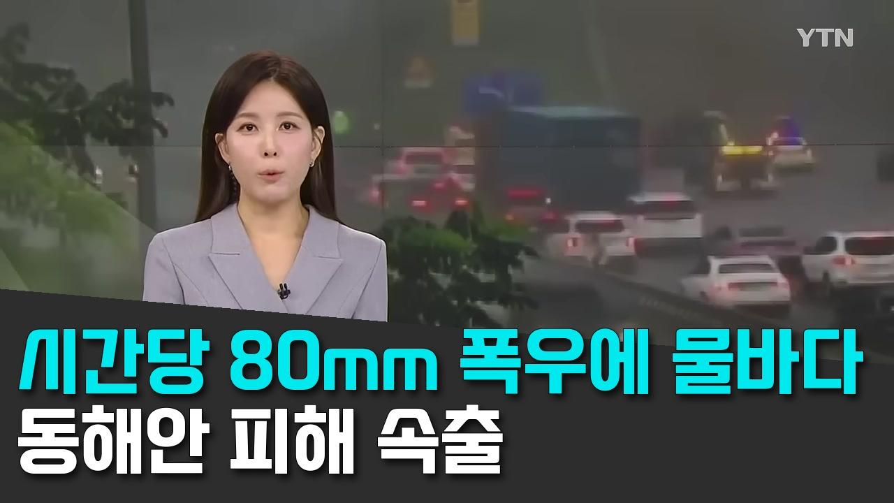 8/8 YTN