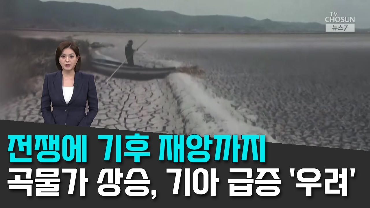 8/9 TV조선