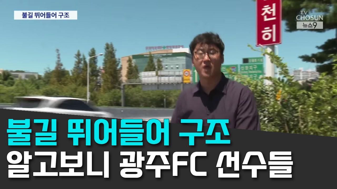 8/12 TV조선