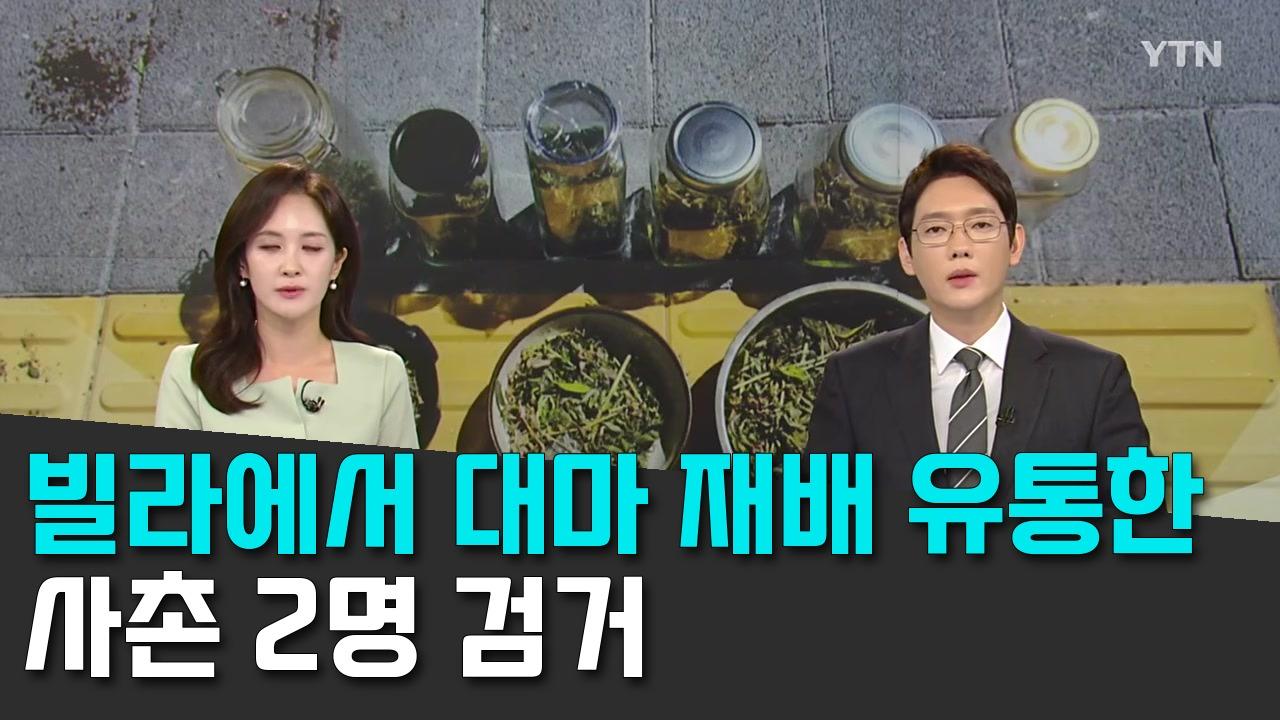 8/13 YTN