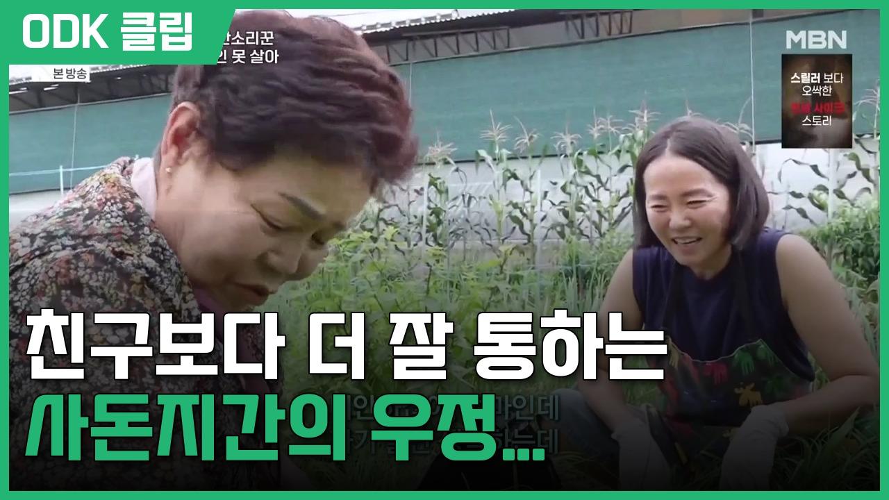 사노라면 | 754회