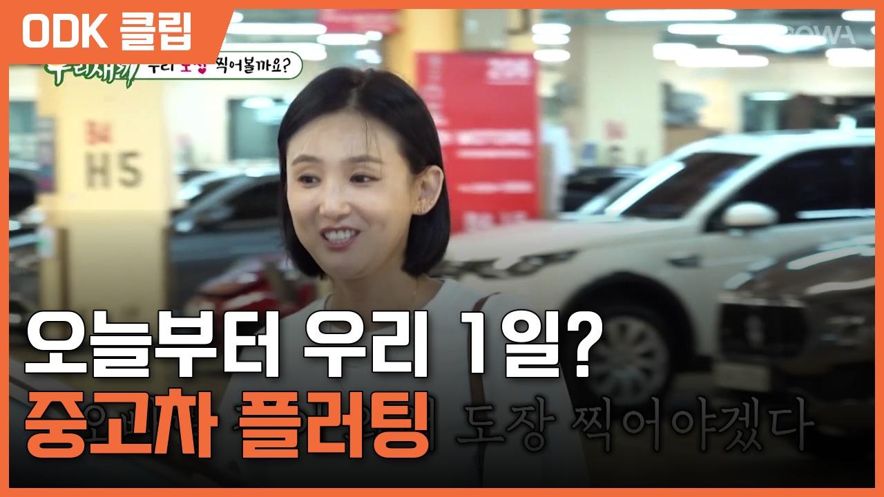 미운 우리 새끼 | 508회