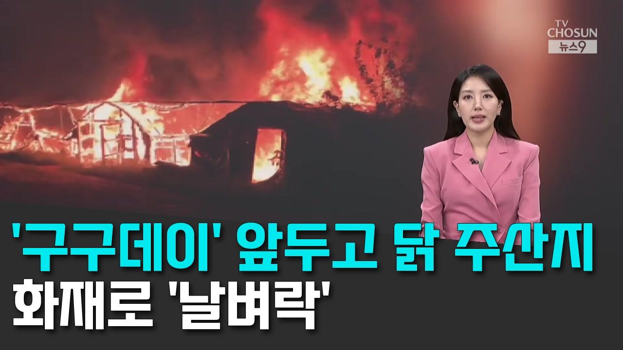 9/9 TV조선
