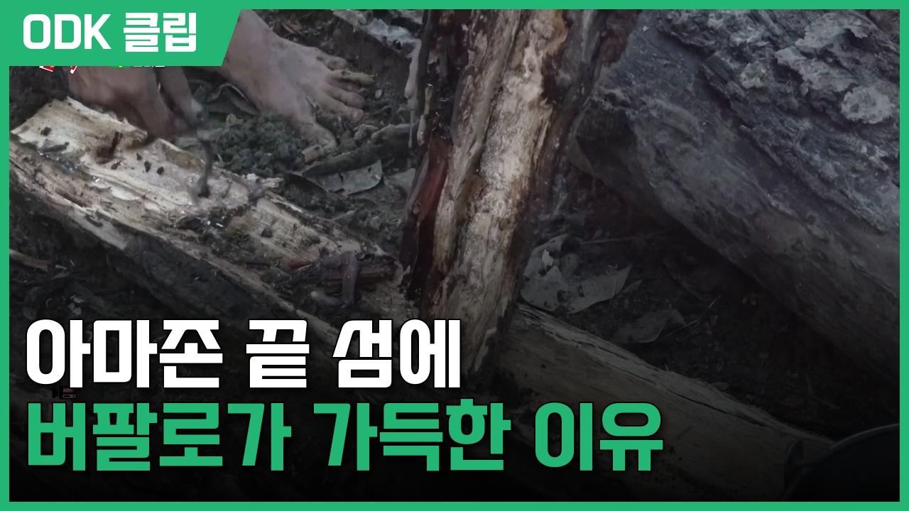 걸어서 세계속으로 | 950회