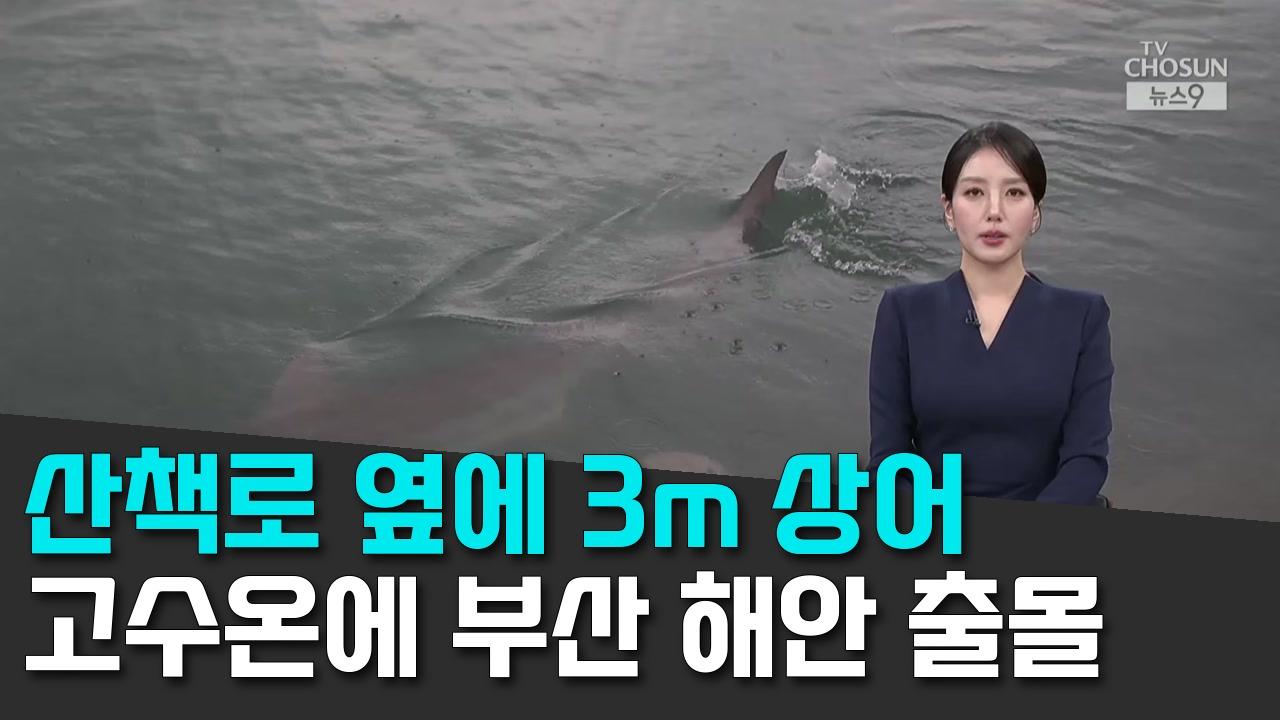 9/18 TV조선