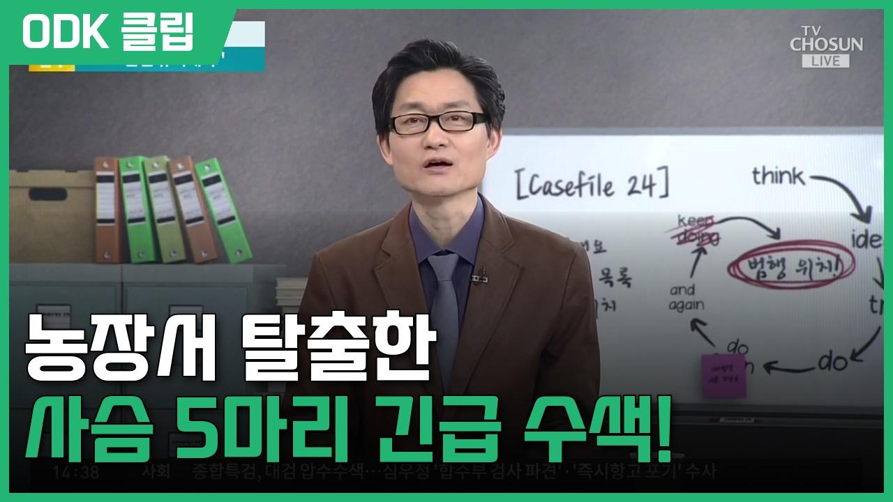 사건파일 24 | 4/23