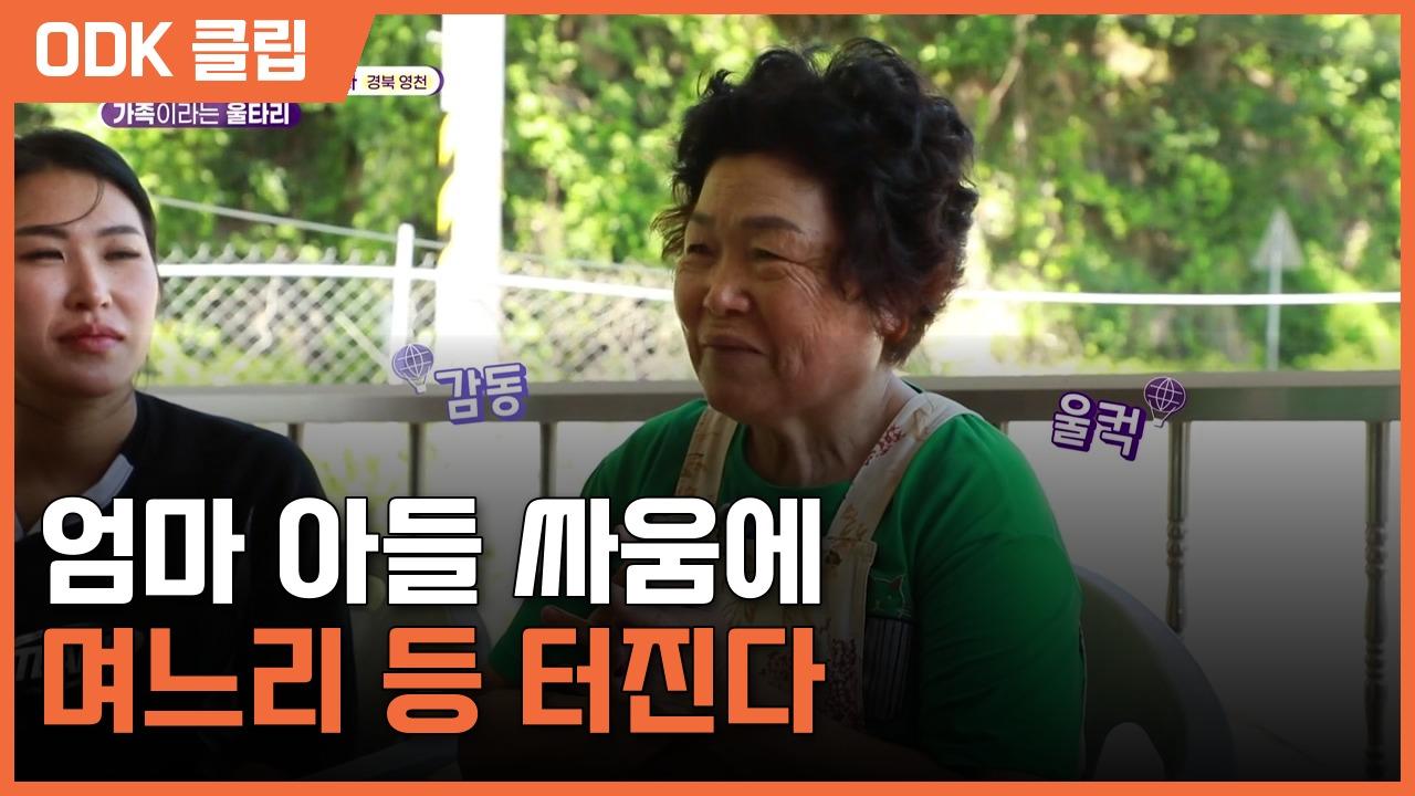 6시 내고향 | 8620회