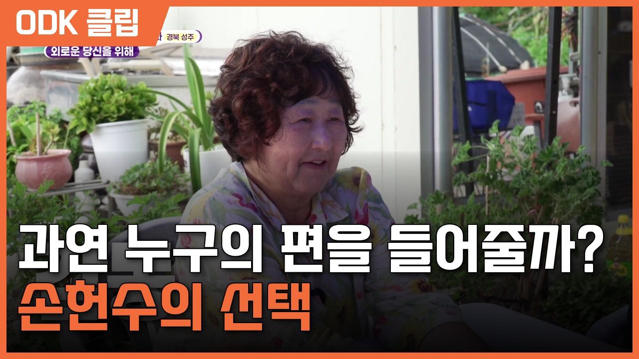 6시 내고향 | 8617회