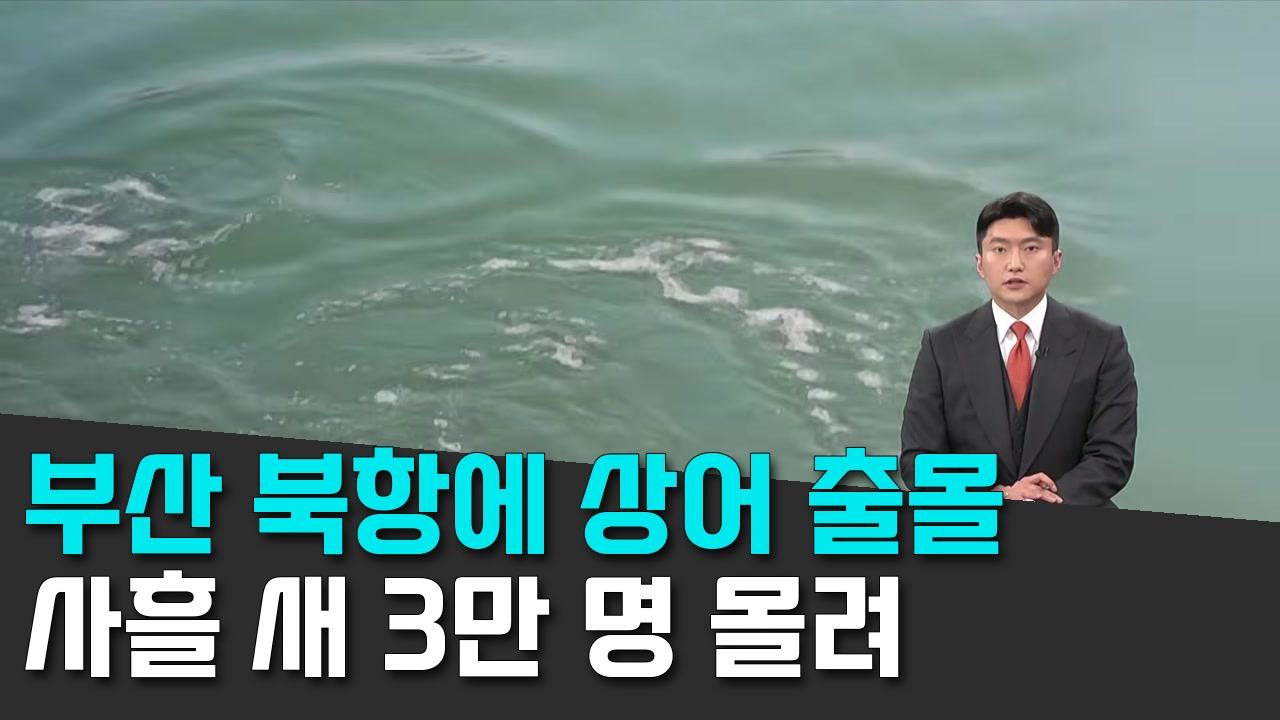 9/20 TV조선