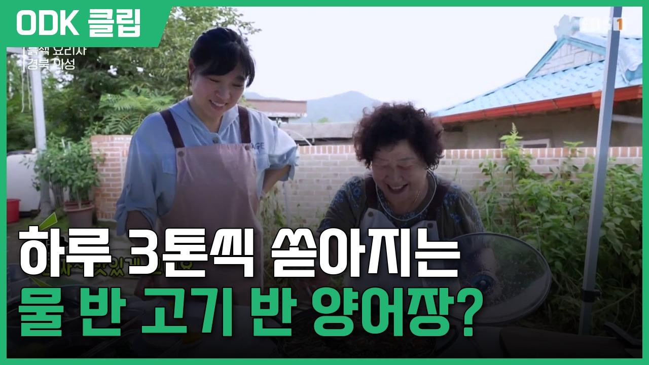 한국기행 | 5747회