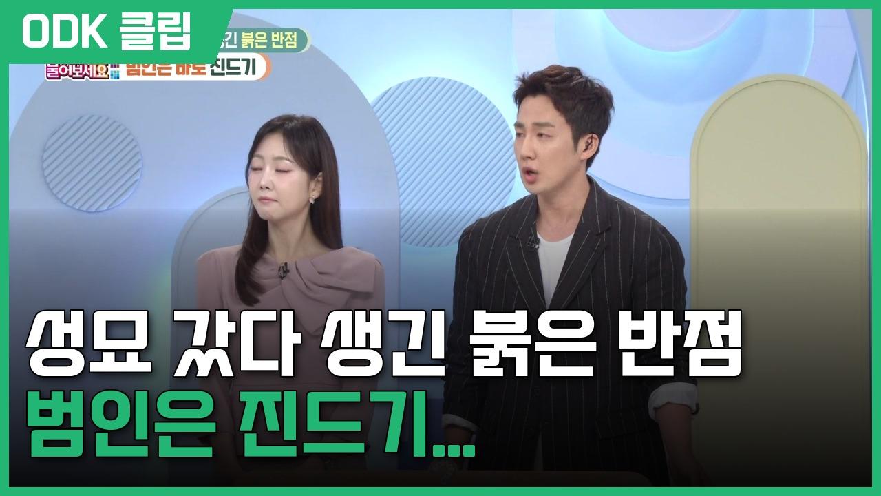 무엇이든 물어보세요 | 3416회