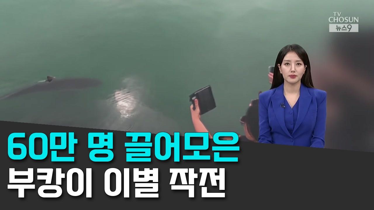 9/29 TV조선