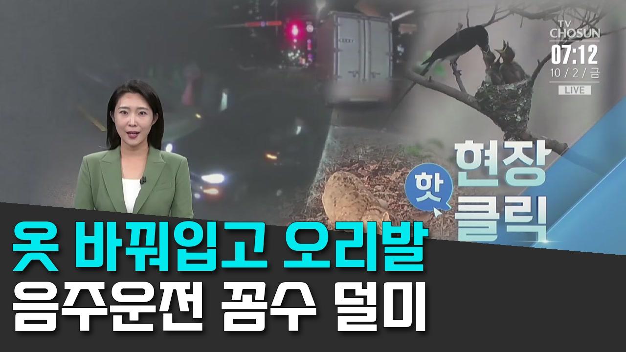 10/2 TV조선