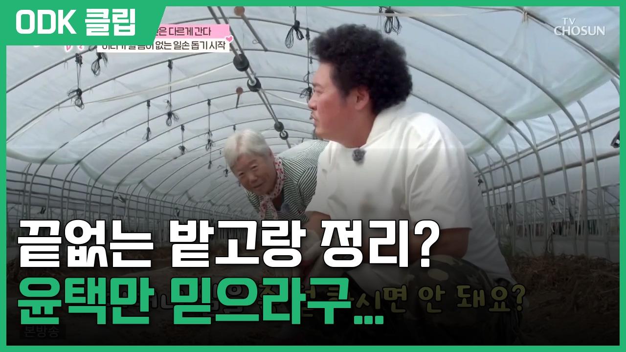 엄마의 봄날 | 577회