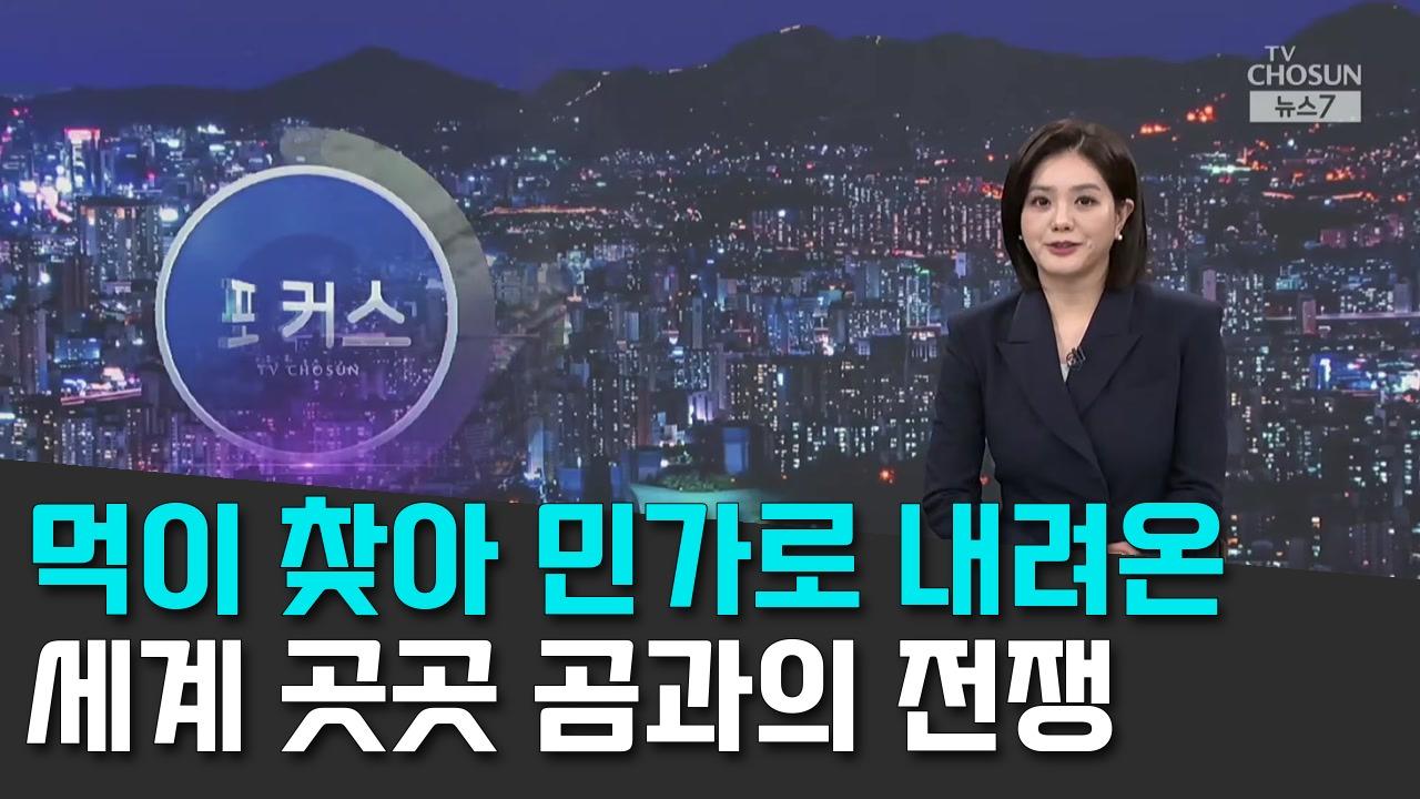 10/4 TV조선