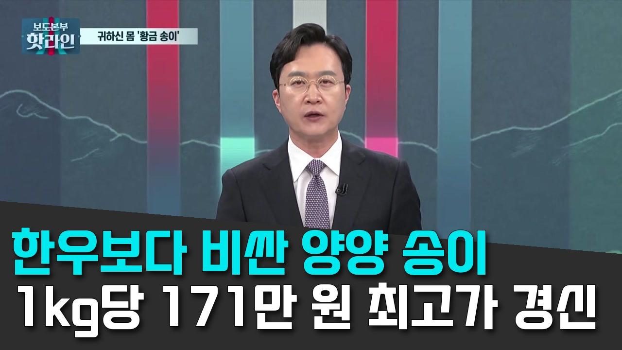 10/6 TV조선