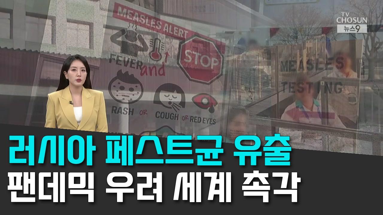10/7 TV조선