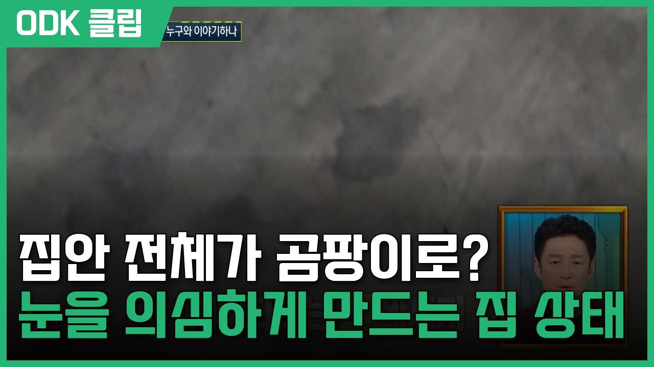 실화 탐사대 | 379회