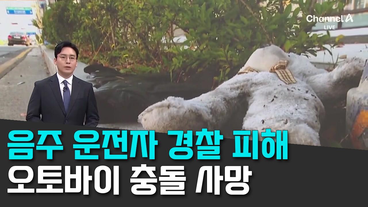 10/10 채널A