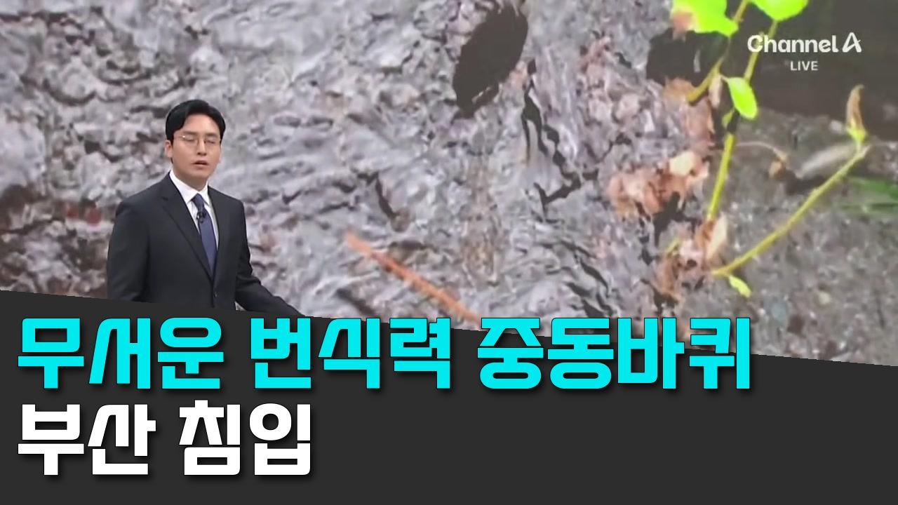 10/10 채널A