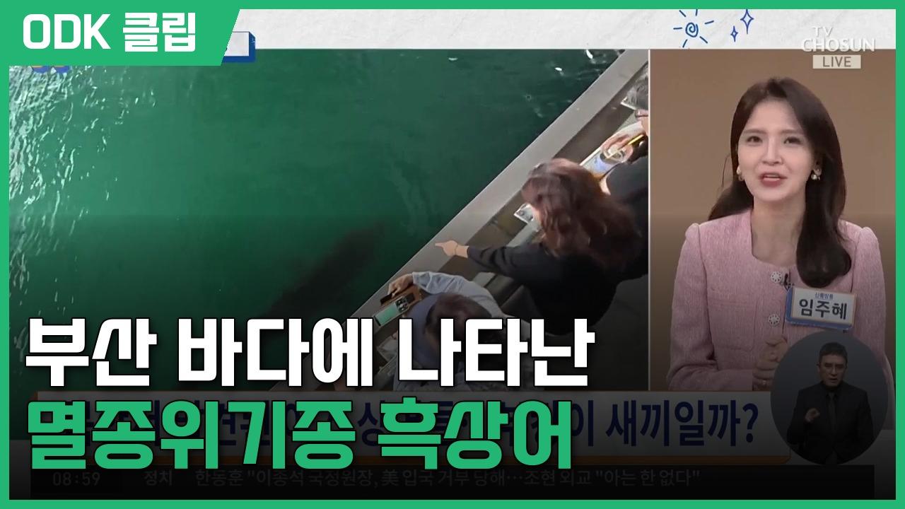 신통방통 | 10/7