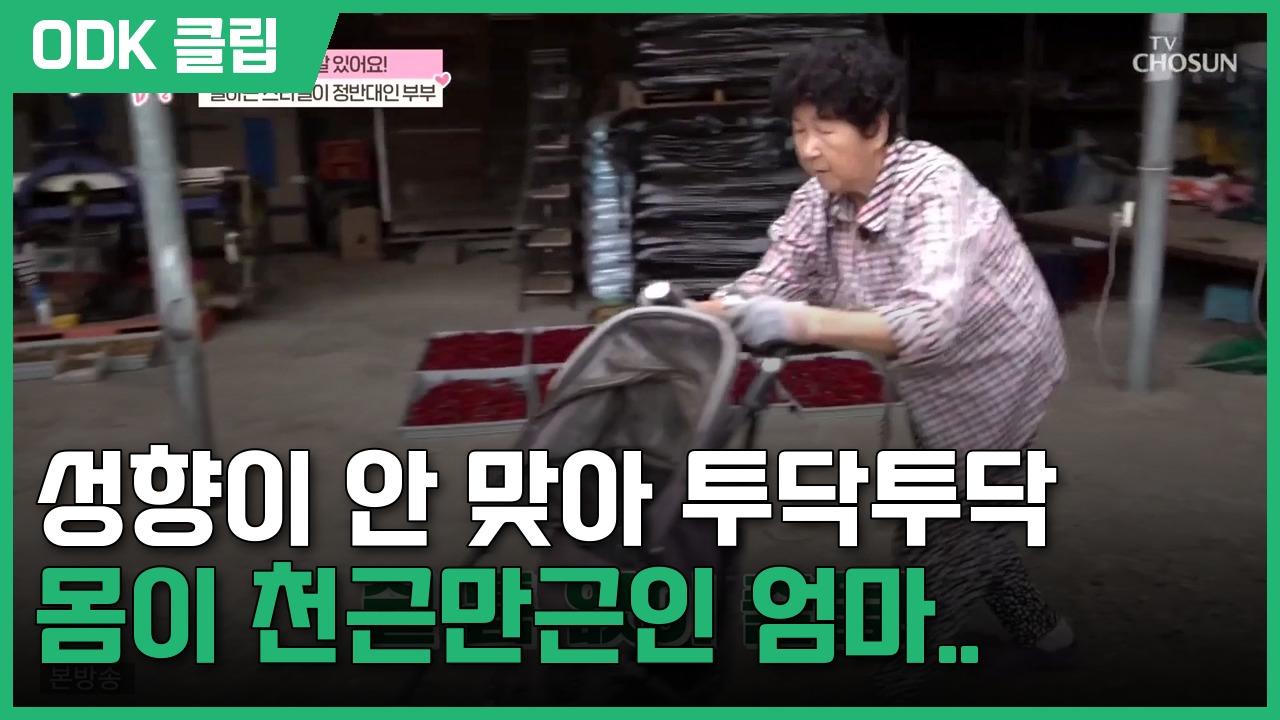 엄마의 봄날 | 578회