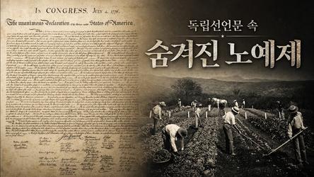 독립선언문 속 숨겨진 노예제 | 어쩌다인문학