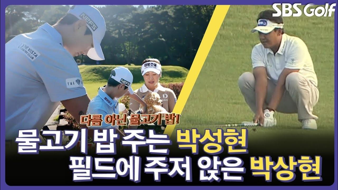 KLPGA 2026 : 박성현, 물고기 밥 주는 모습, 박상현, 필드에 주저앉은 사연, 인사이드 KLPGA 이모저모