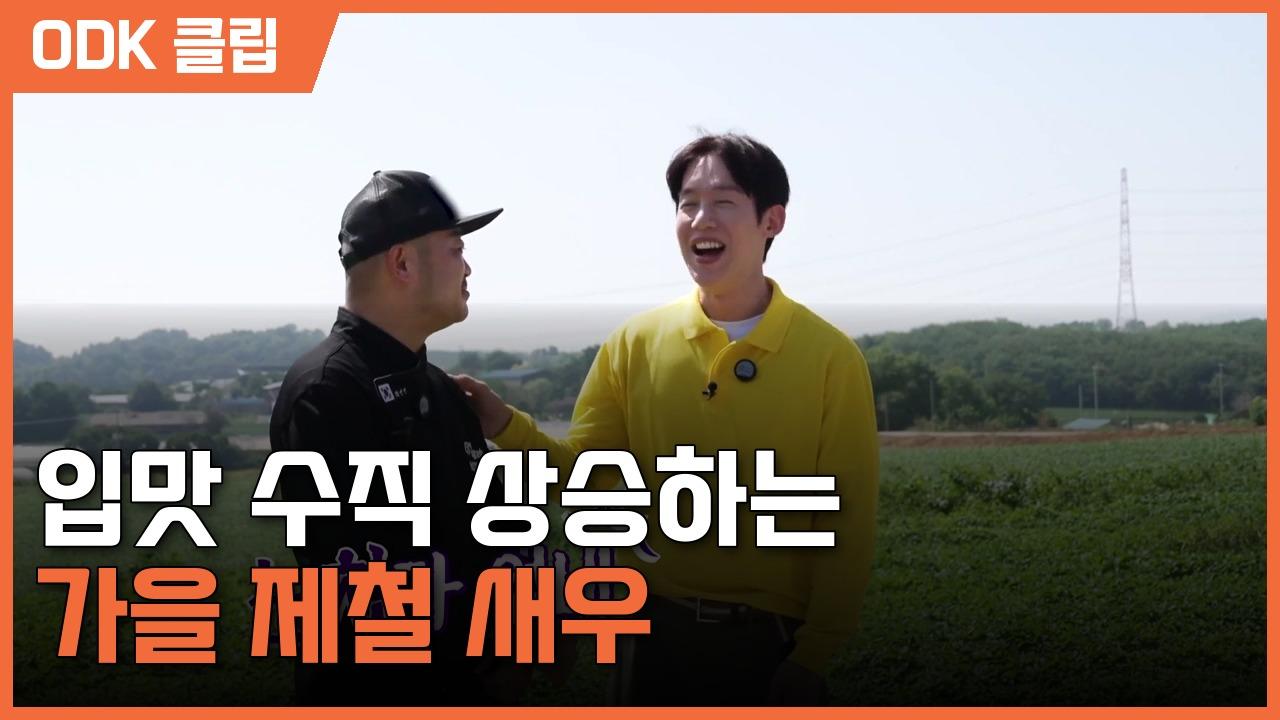6시 내고향 | 8631회
